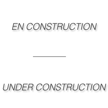 FUSION DRIVE:Users:sylvettemur:Documents:MES DOCUMENTS:WEB:RNVP 2013:Site en contrustion.jpg